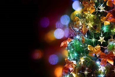 Christmas Tree Wallpaper Backgrounds