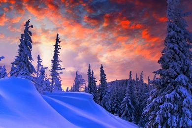 Winter Christmas Wallpapers Full HD [7500x3000]   Free Wallpapers ...