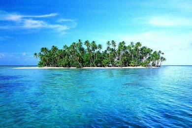 Lonely Island With White Sand And Green Tropic Palms Wallpapers ...
