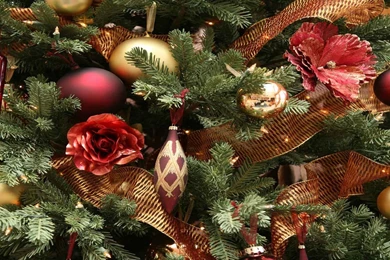 Hd Christmas Wallpapers 1920x1080