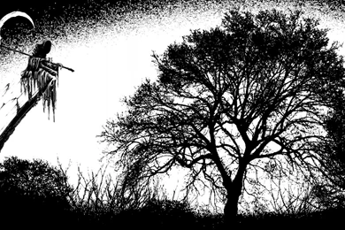 Death Wallpapers 1600x900   (