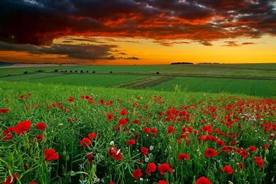 Nature Wallpapers HD Landscape Pictures