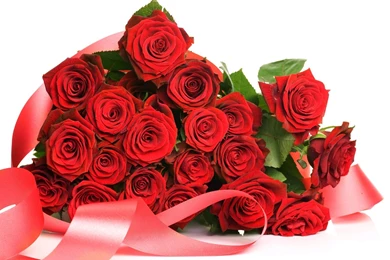 Flower Bokeh Images And Wallpapers Download