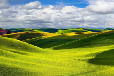 Green Landscape Wallpapers HD
