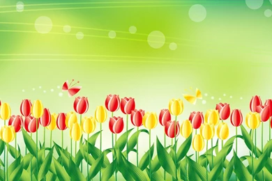 Free Photographs Obtain Excessive Decision   HD Images New