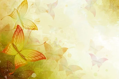 Backgrounds Pictures Of Flowers   HD Wallpapers Lovely