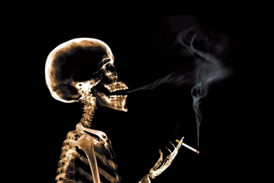 Smoking Skull Live Wallpapers   YouTube