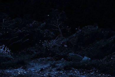 Dark Blue Backgrounds 01 By Limited Vision Stock On DeviantArt