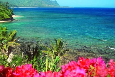 Nature Wallpapers   11309