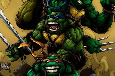 720x1280 Teenage Mutant Ninja Turtles Samsung Galaxy Wallpapers HD ...