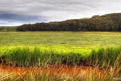 Free Wallpapers   Free Nature Wallpapers   PS Landscape 1 Wallpapers ...