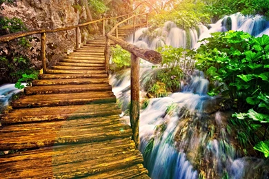 Beautiful Wooden Bridge On The Nature Wallpape