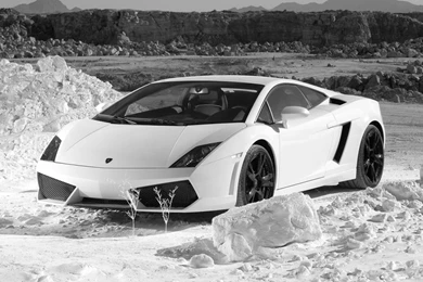 Black And White Lamborghini Wallpapers   Image