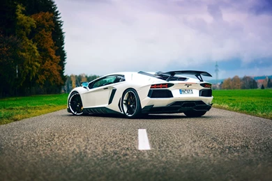 Lamborghini Aventador White Supercar Back View Wallpapers ...