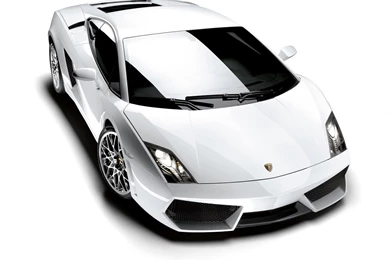 Lamborghini Gallardo LP In White Wallpapers
