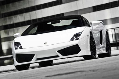 2010 BF performance Lamborghini Gallardo GT600   White Front Angle ...