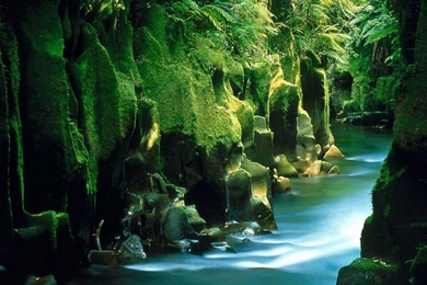 New Zealand Nature 1920x1440 HD Wallpapers Pack 2   Photo 8 Of 14 ...