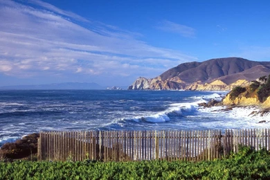 2014 Pokemon Nature Medicine Vs Wallpapers