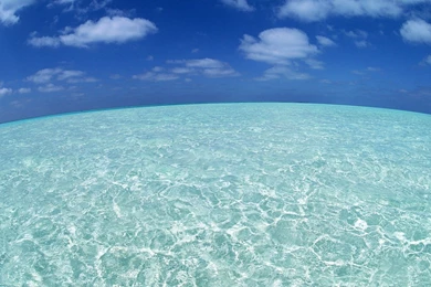 40 Clear Water Desktop Wallpapers