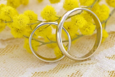 Download Wallpapers 2048x1152 Ring, Mimosa, Wedding HD HD Backgrounds