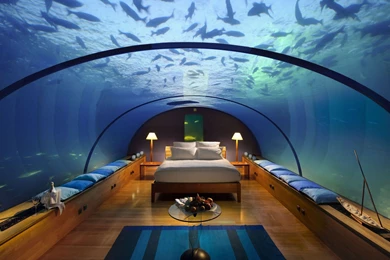 Download Fish Glass Bed Water Pillow Hd With Resolution Wallpapers ...