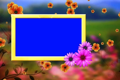 HD Wedding Frame Blue Backgrounds & Fallen Flowers Animated Video ...