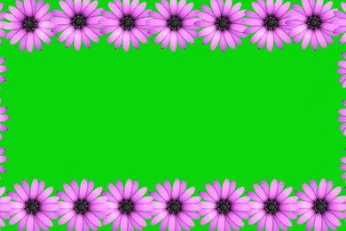 Wedding Backgrounds Video Effects HD Animation Pink Flower Frame ...