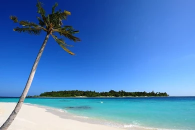 Maldivian Beach Backgrounds Hd 1080P Hd Wallpapers 1024x600 Desktop ...