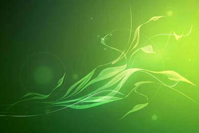 Abstract Green Backgrounds   Splendid Wallpapers HD