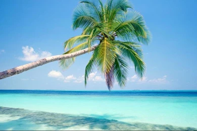 Island Backgrounds Hd Images