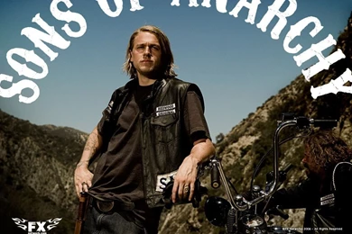 Darcy Cruz: Sons Of Anarchy Wallpapers Hd