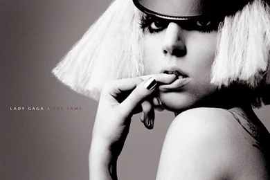 Lady GaGa Wallpapers!   Lady Gaga Fan Art (36947885)   Fanpop