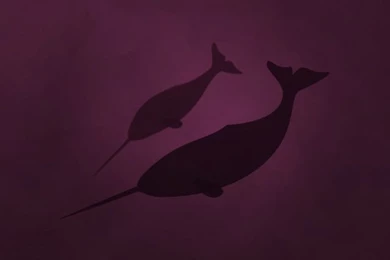 Linux Natty Narwhal HD Desktop Wallpapers : High Definition ...