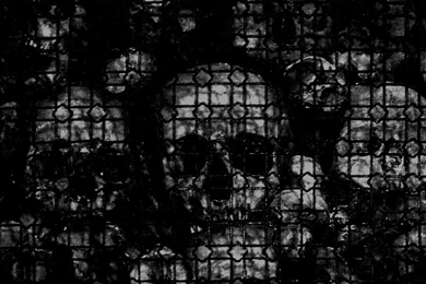 Skull Backgrounds Wallpapers