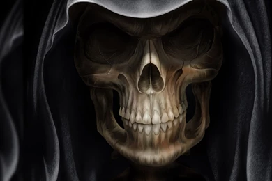 HD Quality Skull HD Wallpapers   SiWallpapers 21222