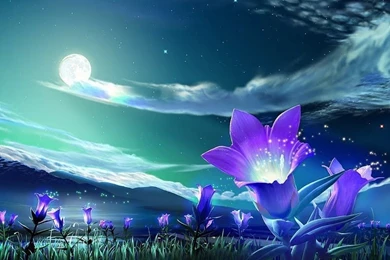 Laptop Review: Top Ten Laptop Wallpapers