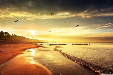 COOL NATURE HD Desktop Wallpapers : Widescreen : High Definition ...