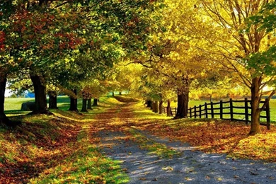 Autumn Is Here Wallpapers   Nature Wallpapers