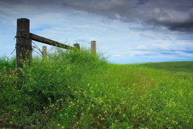 1366x768 Nature Meadow Fence Wallpapers