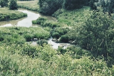 Landscape Trees Wallpapers Nature Road Adventure Woods Backgrounds ...