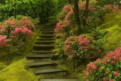 20 Amazing Nature Full HD Wallpapers 1080p Set 2 003