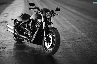 Harley Davidson VRSCDX Night Rod Special Wallpapers   Motorcycle ...