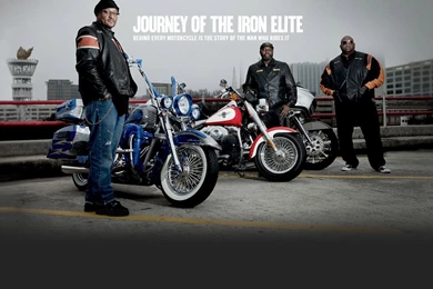 Ten 319 Harley Davidson Wallpapers Download File 11530 Wallpapers ...