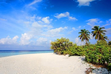 1600x900 Beach Nature Wallpapers