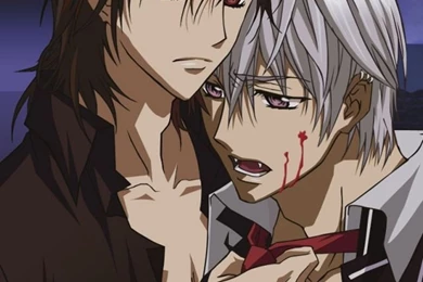 Download Wallpapers 640x960 Minitokyo, Vampire, Knight, Anime ...