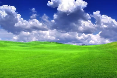 Download 1600x900 Another Bliss Wallpapers