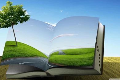 Road Back To Nature   (