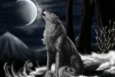 Wolf Computer Wallpapers, Desktop Backgrounds