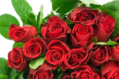 Download Wallpapers 1920x1080 Roses, Flowers, Bouquet, Red, Chic ...