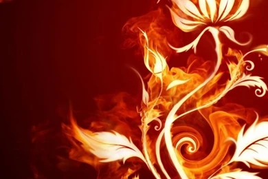 640x960 Fire Flower Iphone 4 Wallpapers